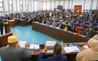 Somalia, the Beating Heart of the Horn of Africa: Resilience, Culture, and New Perspectives
