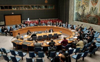 The Bitter Truth of the Security Council