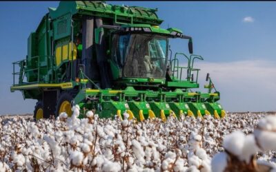 Cotton: a fiber that supports economies and communities worldwide