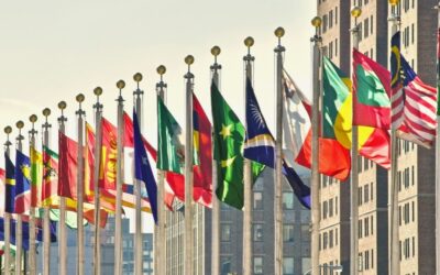 A Global Call for Responsibility: Building Peace in Times of Crisis
