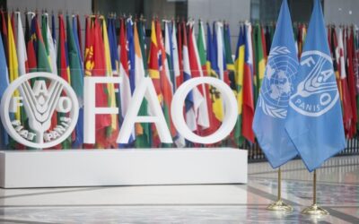 80 Years of FAO: A Pillar of Global Food Security