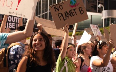 La responsabilità degli Stati nella gestione delle manifestazioni pacifiche