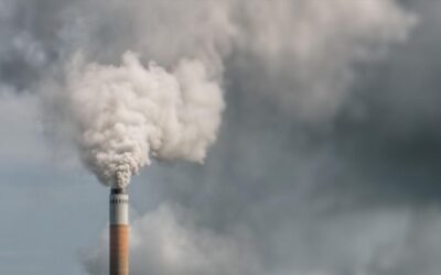 L’inquinamento sistemico e la responsabilità globale: una sfida di governance per la sicurezza e la pace