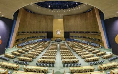 Il diritto alla pace in un pianeta sano: una responsabilità condivisa della comunità internazionale