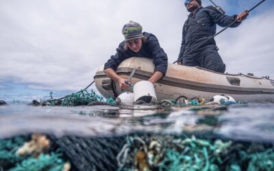 Giornata Mondiale degli Oceani: proteggere il mare significa proteggere il futuro dell’umanità