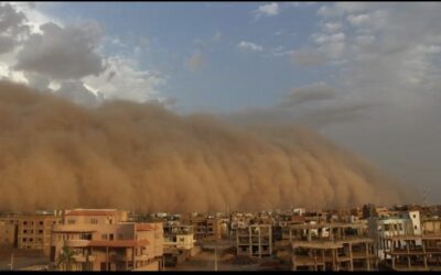 Giornata Internazionale per la Lotta alle Tempeste di Sabbia e Polvere