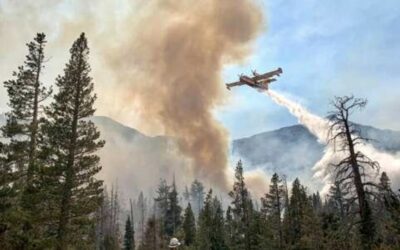 Gli incendi boschivi: la prevenzione resta la migliore difesa
